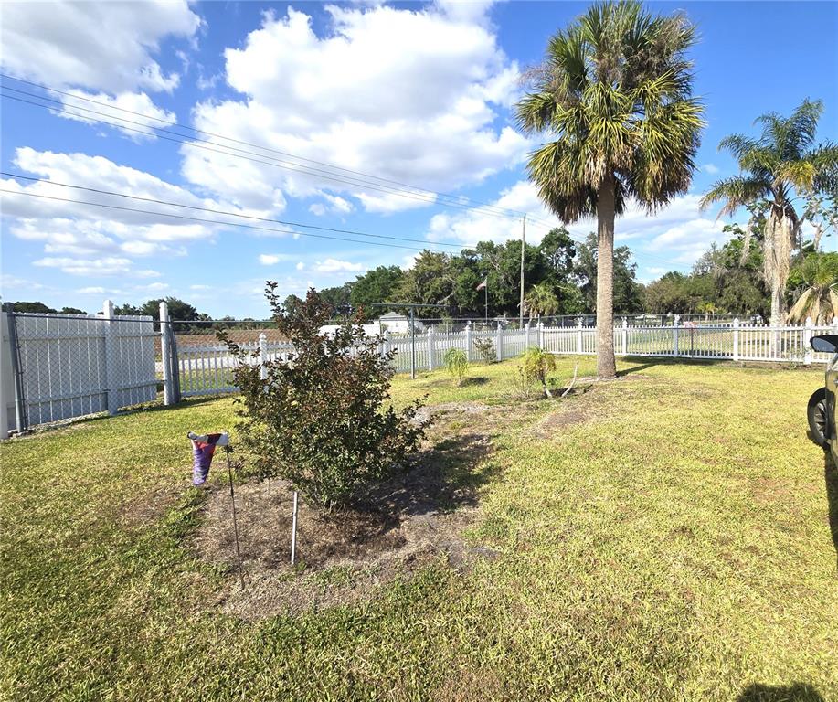 3101 Medulla Road Plant City, FL 33566 - Photo 15 of 83 a view of a swimming pool with a table and chairs