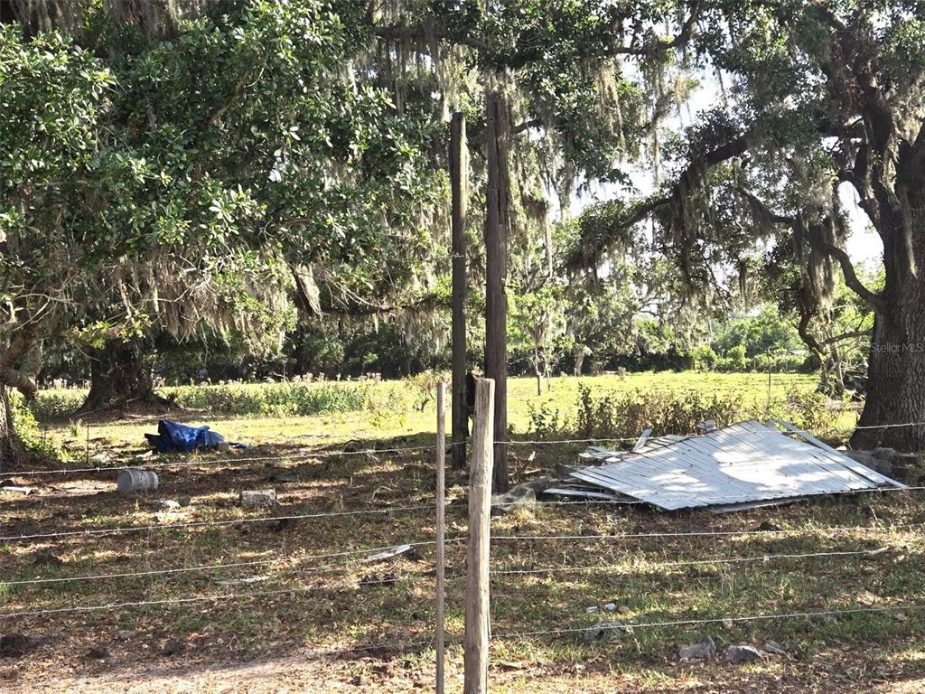 3101 Medulla Road Plant City, FL 33566 - Photo 52 of 83