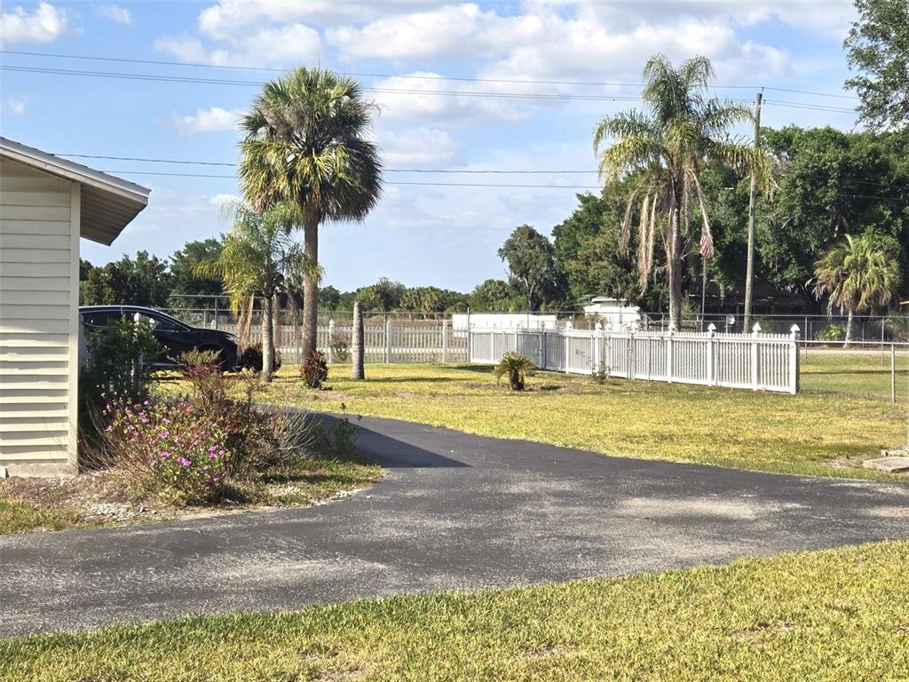 3101 Medulla Road Plant City, FL 33566 - Photo 54 of 83 a view of a swimming pool with a lawn chairs under palm trees