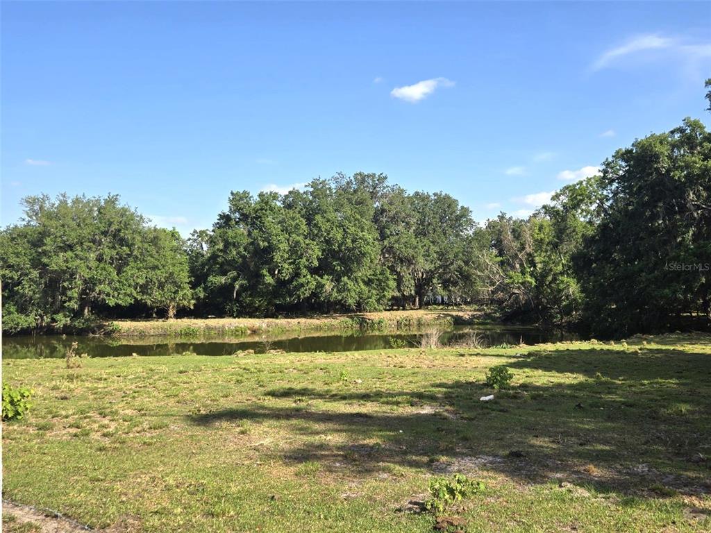 3101 Medulla Road Plant City, FL 33566 - Photo 57 of 83