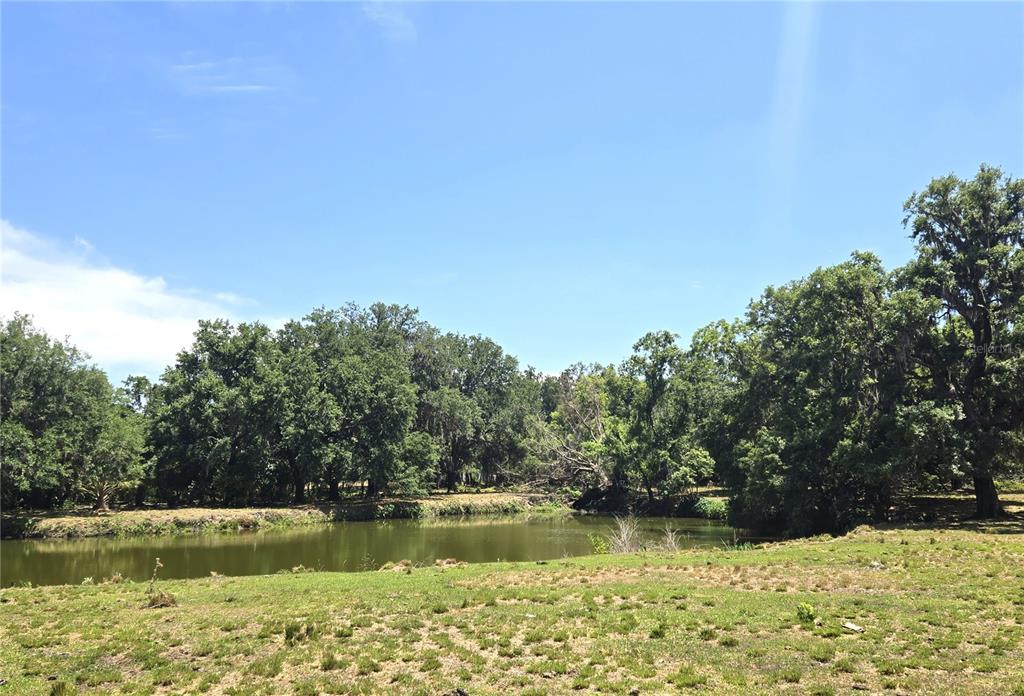 3101 Medulla Road Plant City, FL 33566 - Photo 58 of 83