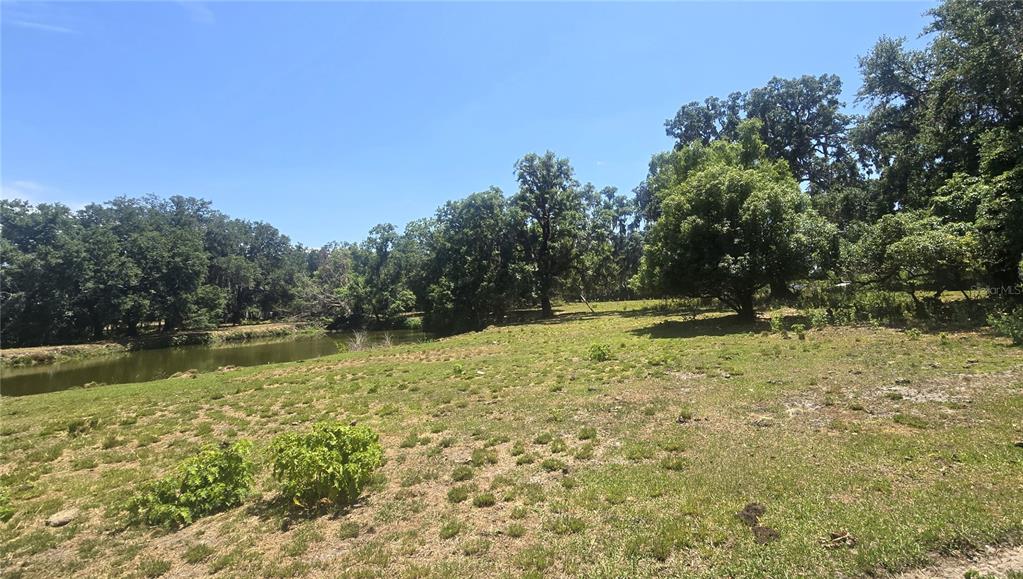 3101 Medulla Road Plant City, FL 33566 - Photo 59 of 83 a view of outdoor space with swimming pool and trees
