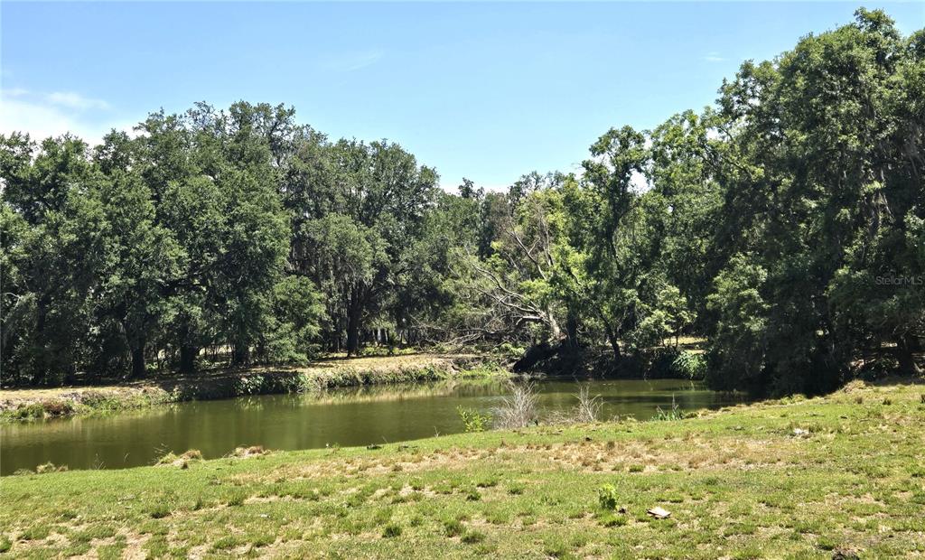 3101 Medulla Road Plant City, FL 33566 - Photo 60 of 83 a view of lake