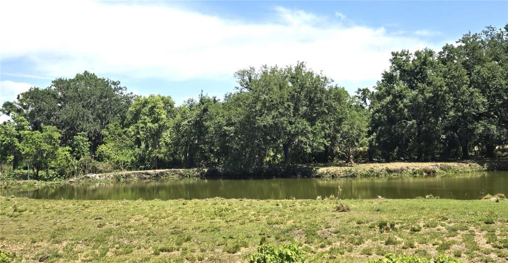 3101 Medulla Road Plant City, FL 33566 - Photo 61 of 83 a view of lake with green space
