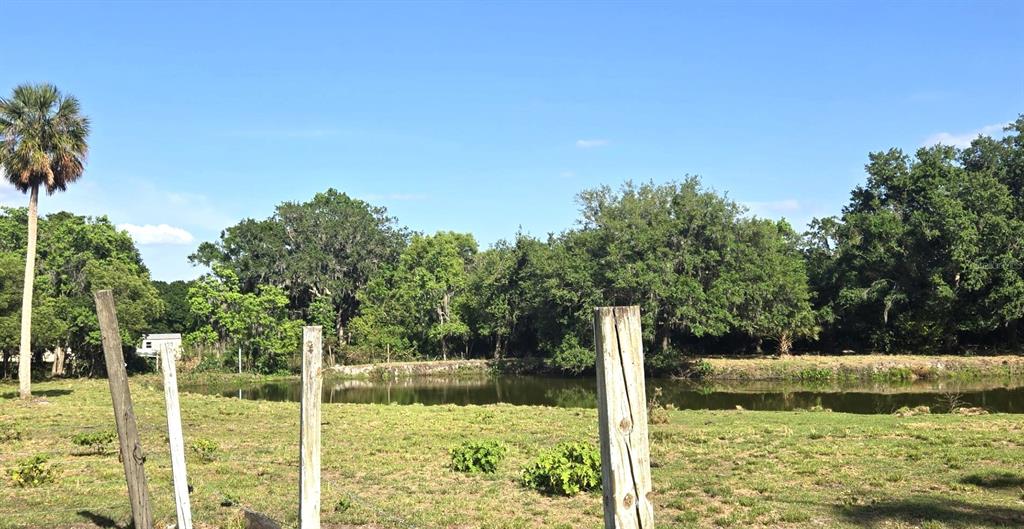 3101 Medulla Road Plant City, FL 33566 - Photo 62 of 83 a view of backyard with green space