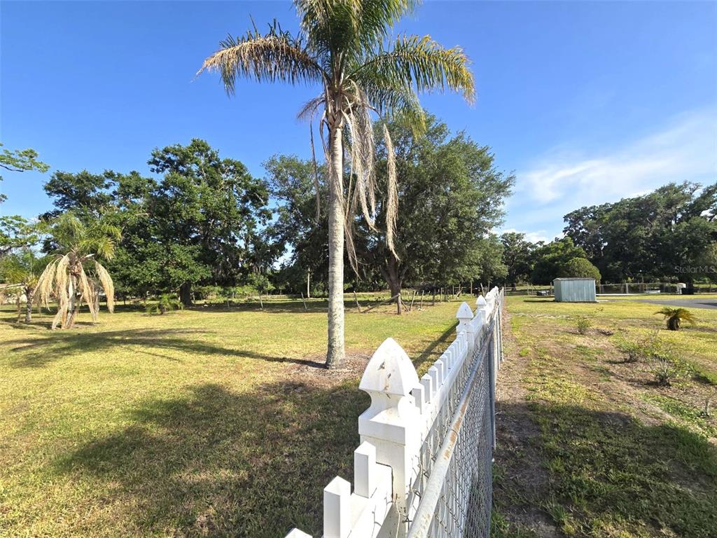 3101 Medulla Road Plant City, FL 33566 - Photo 70 of 83 a view of a swimming pool with a patio