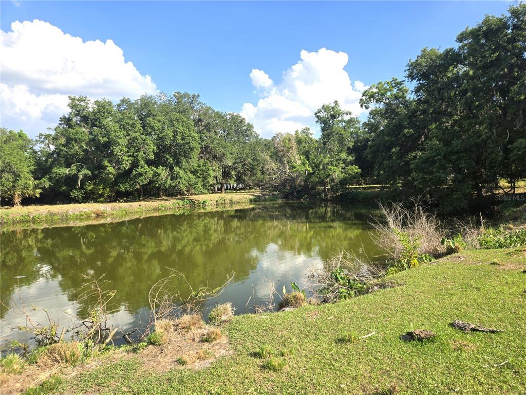 3101 Medulla Road Plant City, FL 33566 - Photo 72 of 83