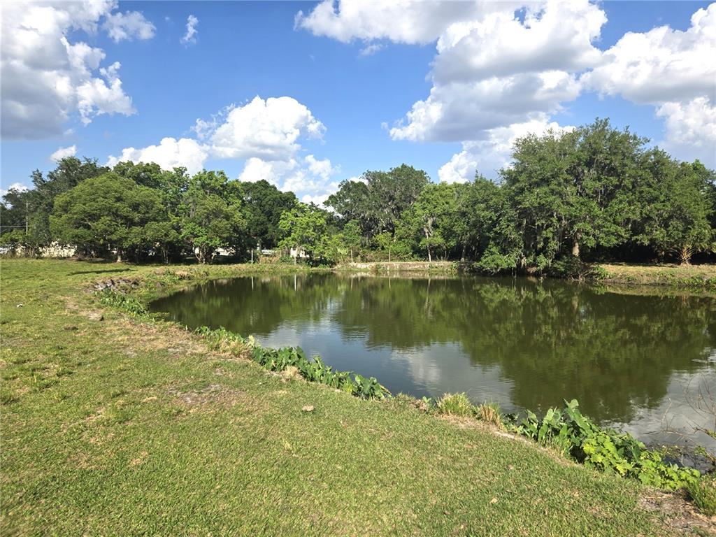 3101 Medulla Road Plant City, FL 33566 - Photo 73 of 83