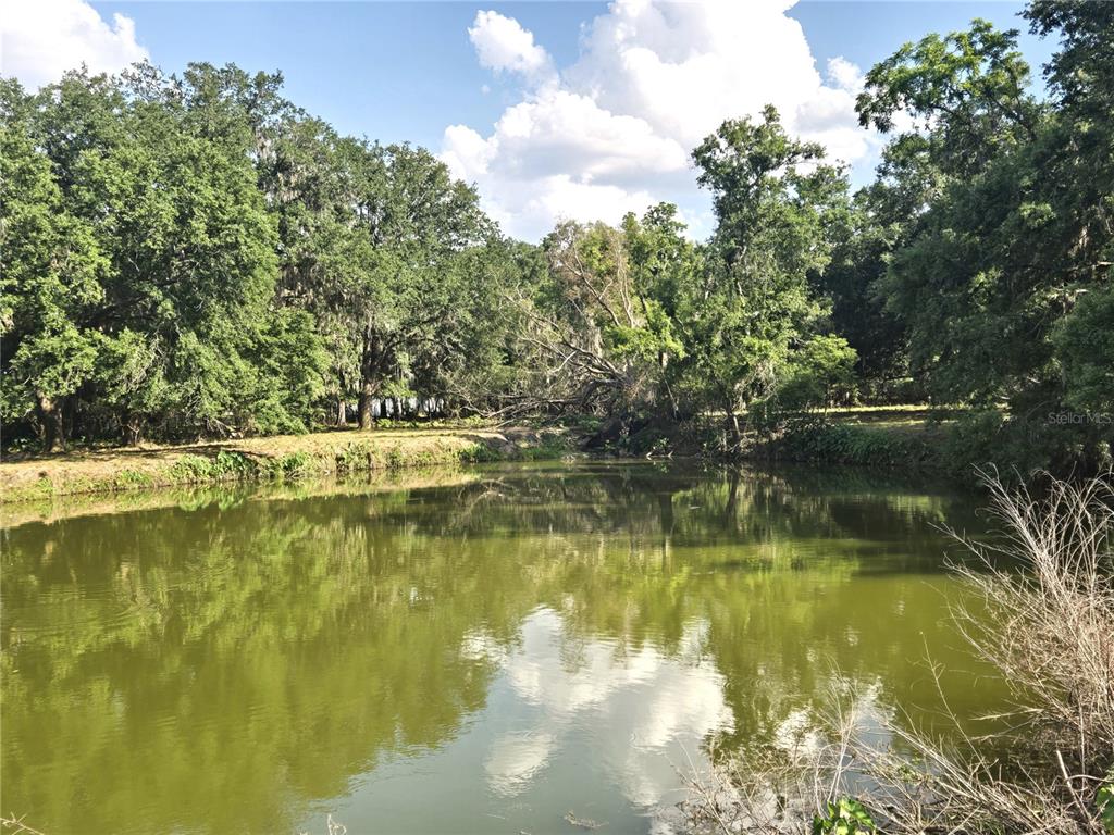 3101 Medulla Road Plant City, FL 33566 - Photo 74 of 83