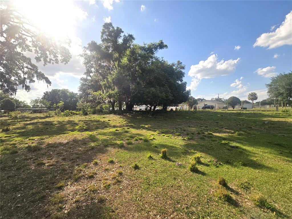 3101 Medulla Road Plant City, FL 33566 - Photo 76 of 83