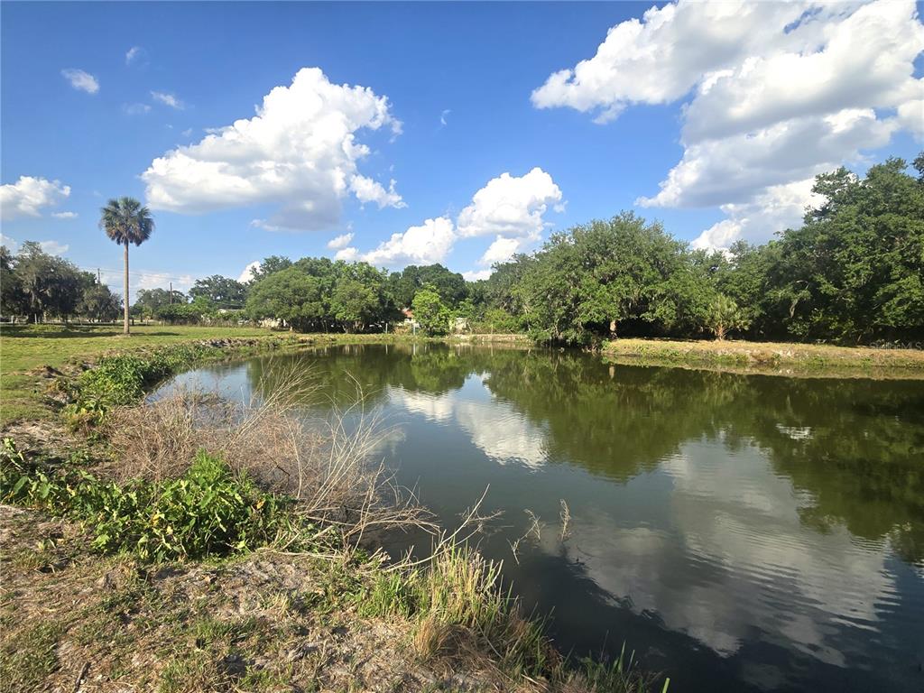 3101 Medulla Road Plant City, FL 33566 - Photo 77 of 83 a view of a lake with a yard