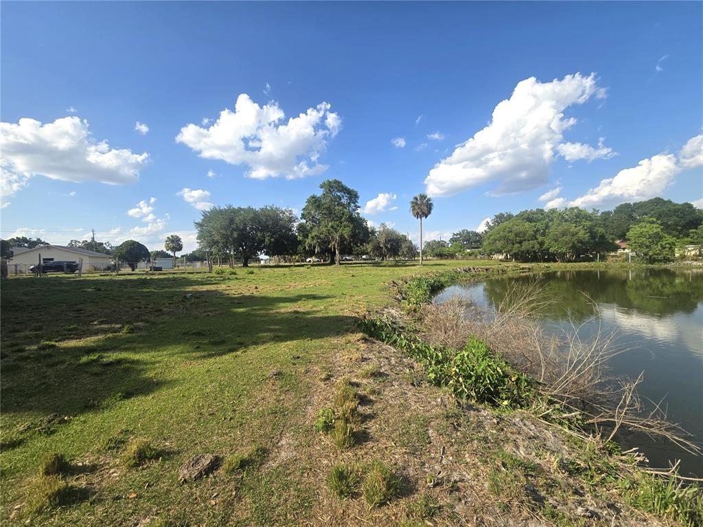 3101 Medulla Road Plant City, FL 33566 - Photo 78 of 83