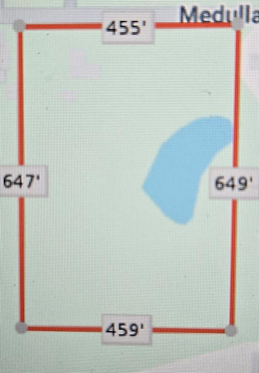 3101 Medulla Road Plant City, FL 33566 - Photo 10 of 83