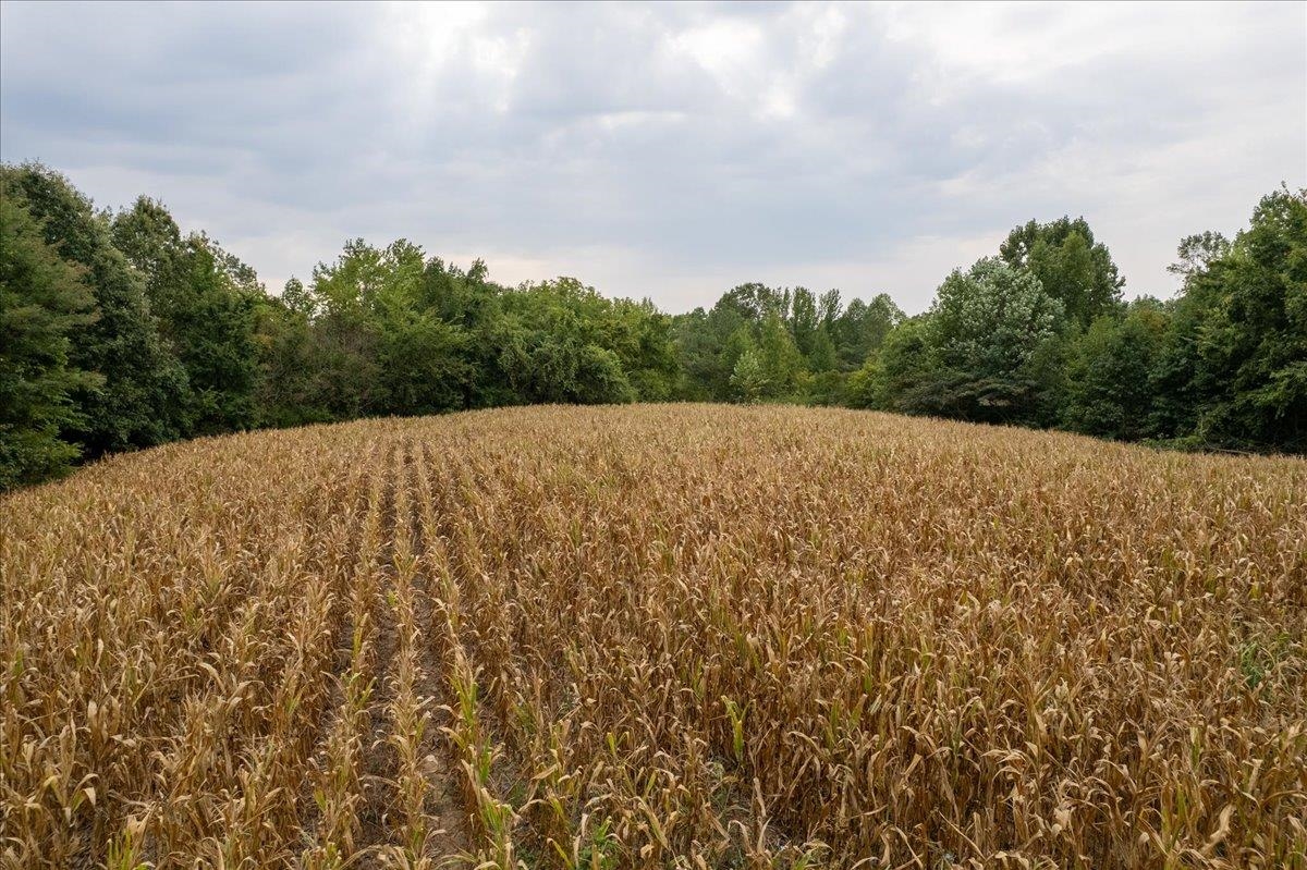 0 Hawkins Road Burlison, TN 38015 - Photo 14 of 18 a view of an outdoor space and a yard