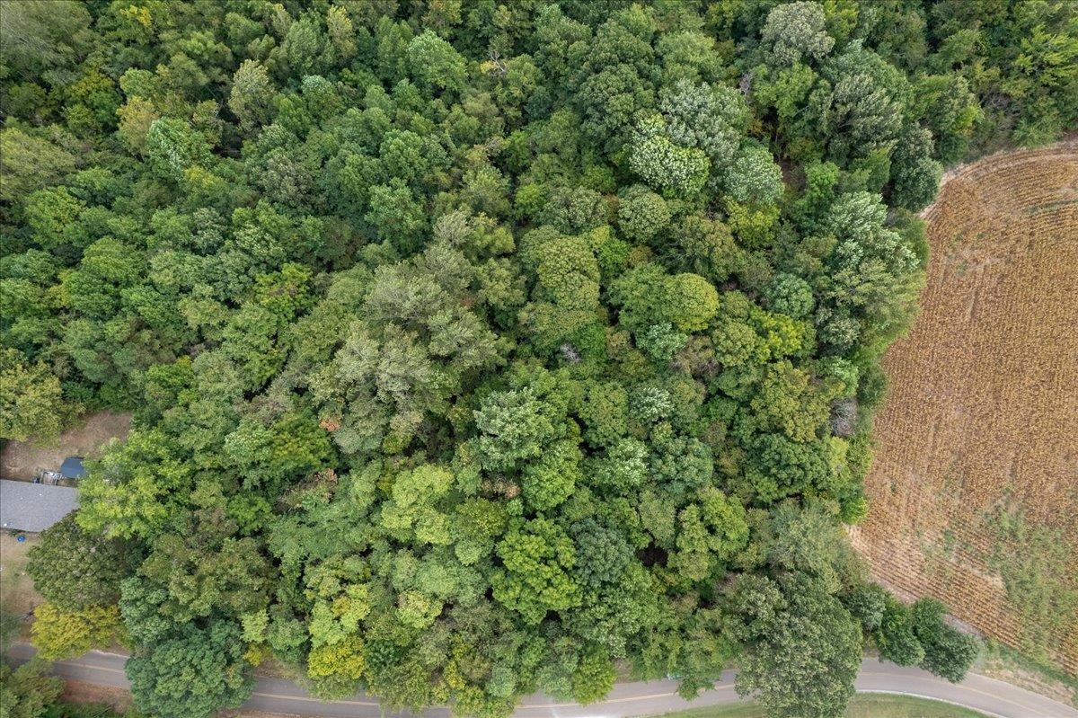 0 Hawkins Road Burlison, TN 38015 - Photo 15 of 18 an outdoor view of a yard