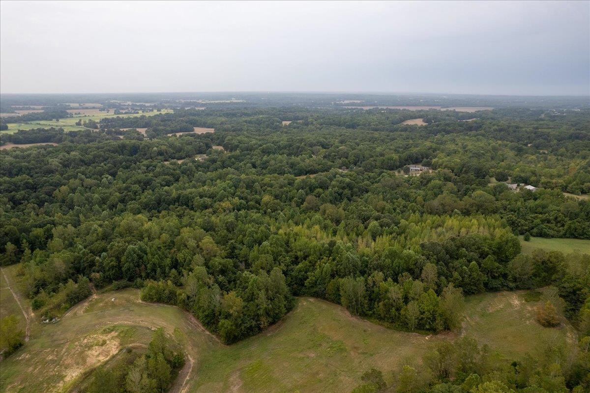 0 Hawkins Road Burlison, TN 38015 - Photo 17 of 18 a view of a city with lush green forest