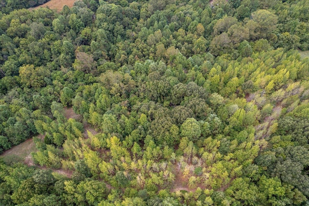 0 Hawkins Road Burlison, TN 38015 - Photo 18 of 18 an aerial view of a houses with a yard