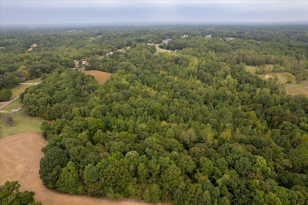 0 Hawkins Road Burlison, TN 38015 - Photo 7 of 18 a view of a city with lush green forest