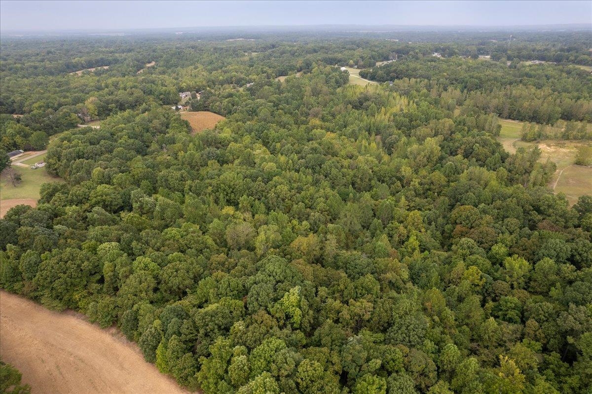 0 Hawkins Road Burlison, TN 38015 - Photo 9 of 18 an aerial view of forest