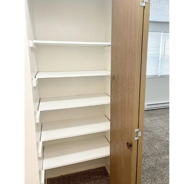 600 John Goodhue Road Carlisle, IA 50047 - Photo 8 of 8 a view of walk in closet with empty racks