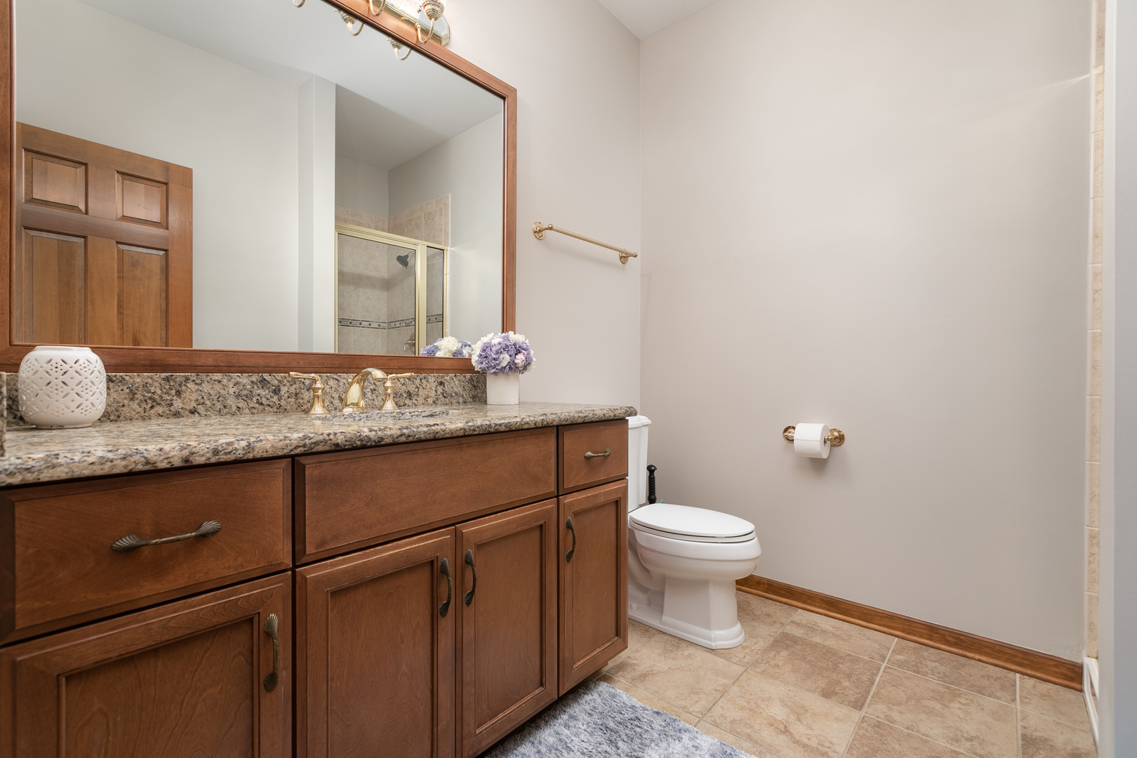 23W250 Hampton Circle Naperville, IL 60540 - Photo 23 of 42 a bathroom with a granite countertop toilet sink and mirror