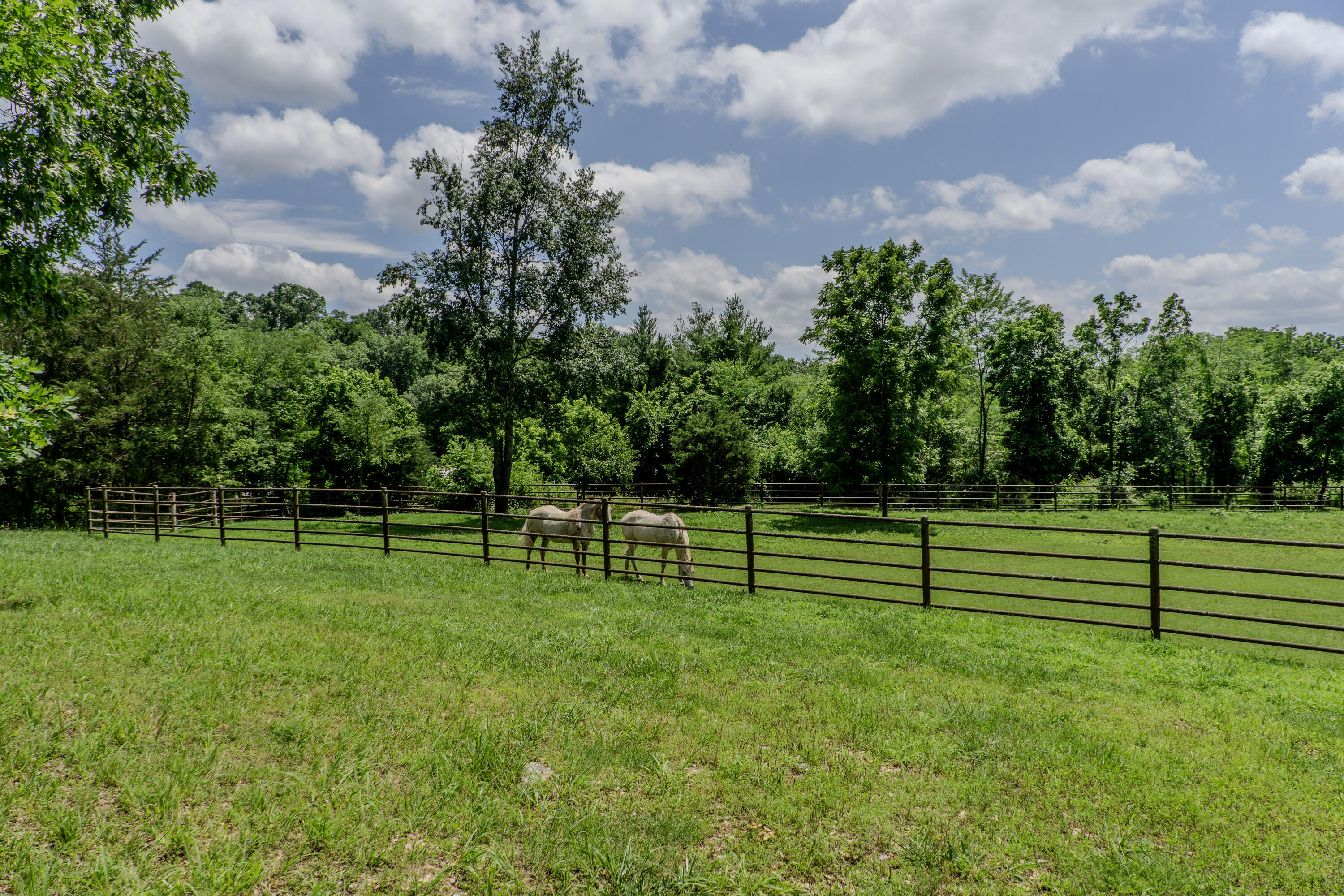 740 Russel Ridge Road Nixa, MO 65714 - Photo 65 of 75 11-DSC04516