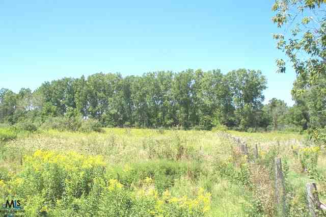 758 Hessen Road Columbus, MI 48063 - Photo 16 of 20 31116038-15.JPG