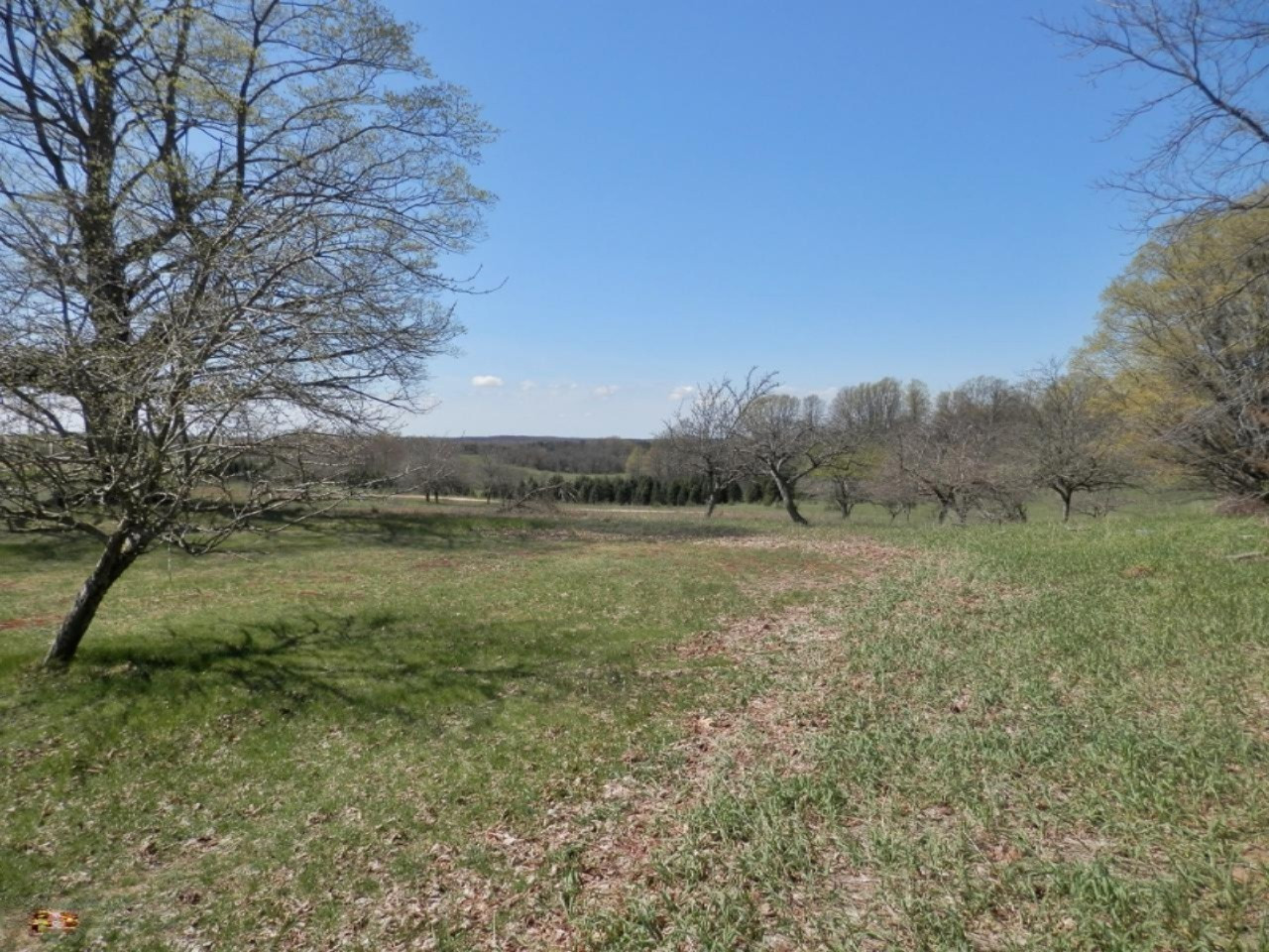 10230 Marilla Road Copemish, MI 49625 - Photo 18 of 26 Country side view