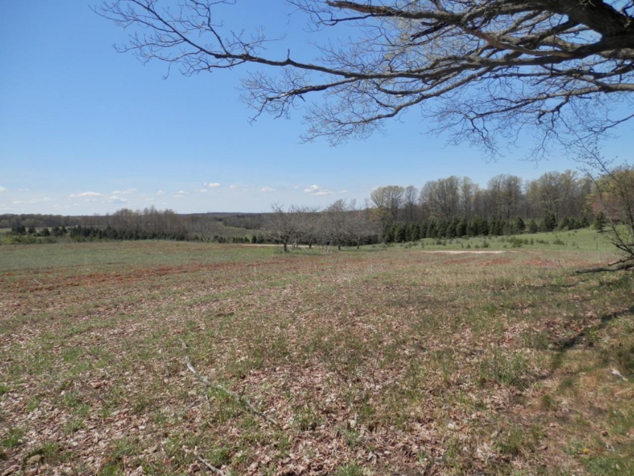 10230 Marilla Road Copemish, MI 49625 - Photo 23 of 26 Side acreage