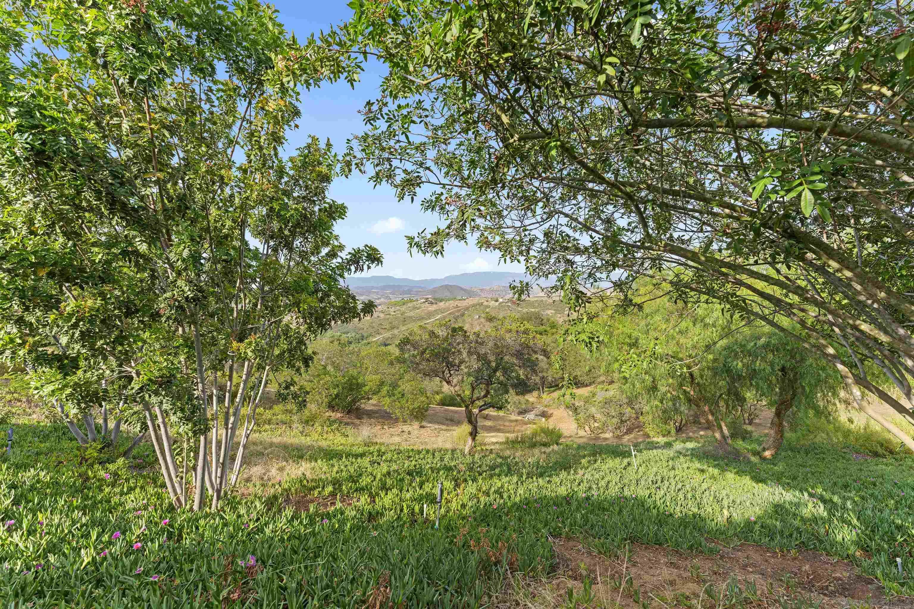 30659 Diaz Road Valley Center, CA 92082 - Photo 43 of 44 a view of a yard with a tree