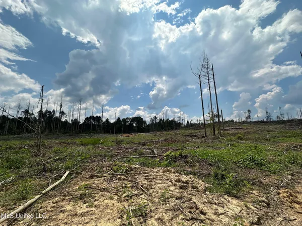$195,000 | 0 Whitetown Lane, Hazlehurst, MS 39083