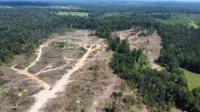 $195,000 | 0 Whitetown Lane, Hazlehurst, MS 39083