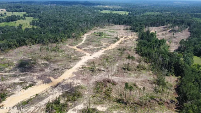 $195,000 | 0 Whitetown Lane, Hazlehurst, MS 39083