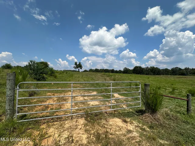 $195,000 | 0 Whitetown Lane, Hazlehurst, MS 39083
