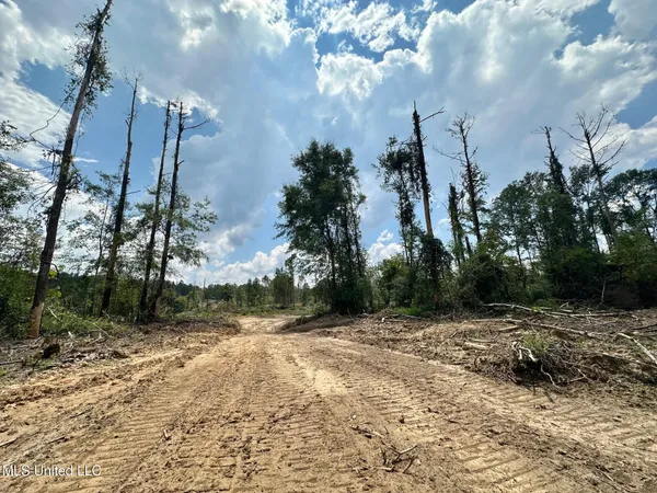 $195,000 | 0 Whitetown Lane, Hazlehurst, MS 39083