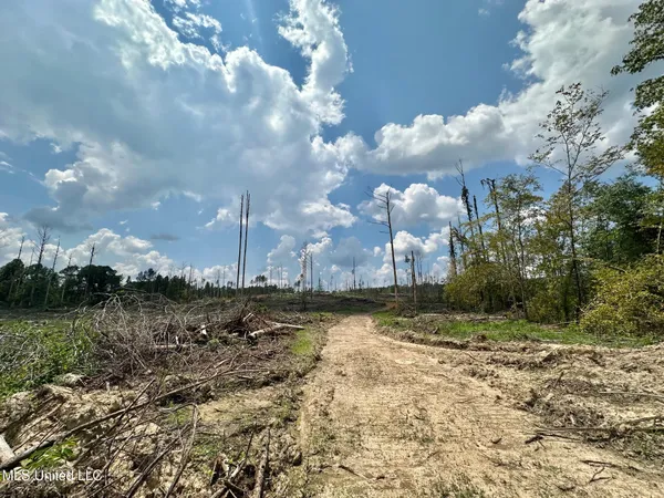 $195,000 | 0 Whitetown Lane, Hazlehurst, MS 39083