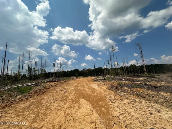 $195,000 | 0 Whitetown Lane, Hazlehurst, MS 39083