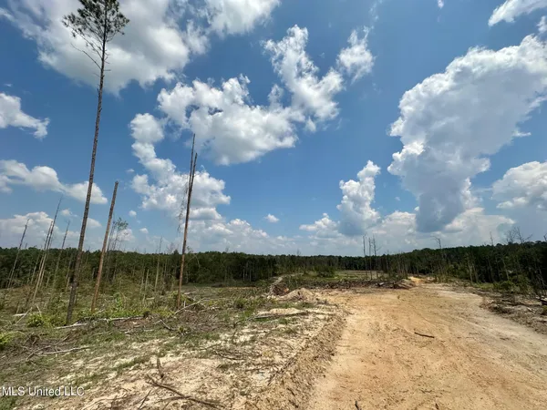 $195,000 | 0 Whitetown Lane, Hazlehurst, MS 39083