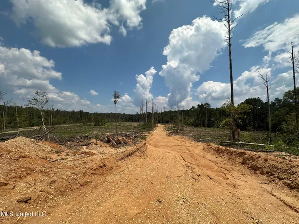$195,000 | 0 Whitetown Lane, Hazlehurst, MS 39083
