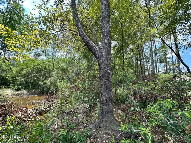 $195,000 | 0 Whitetown Lane, Hazlehurst, MS 39083