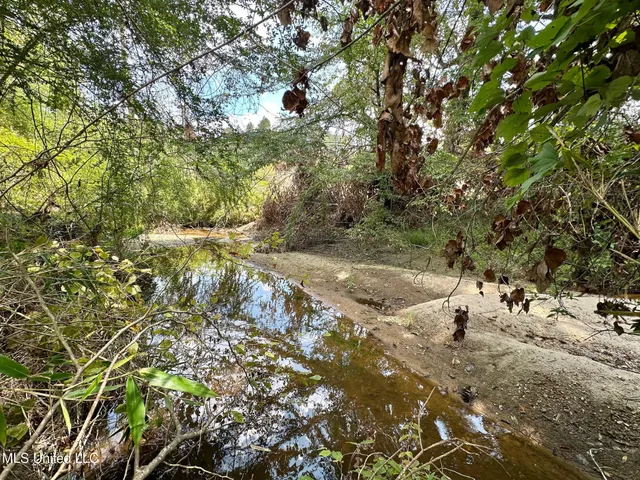 $195,000 | 0 Whitetown Lane, Hazlehurst, MS 39083