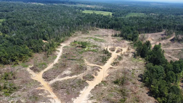 $195,000 | 0 Whitetown Lane, Hazlehurst, MS 39083