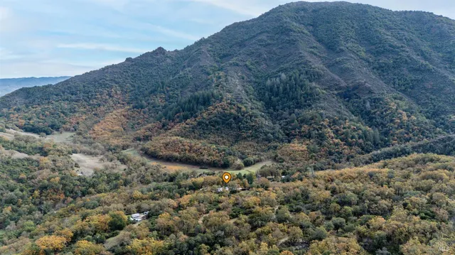 a view of a backyard with wooden fence