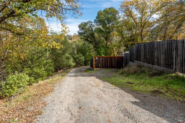 a backyard of a house with swimming pool and trees