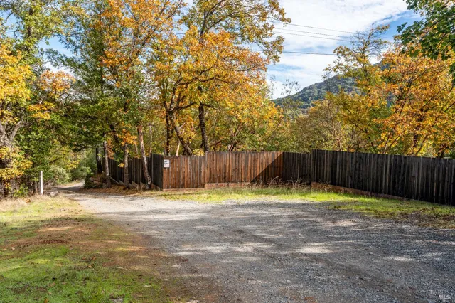 a view of a forest with mountains in the background