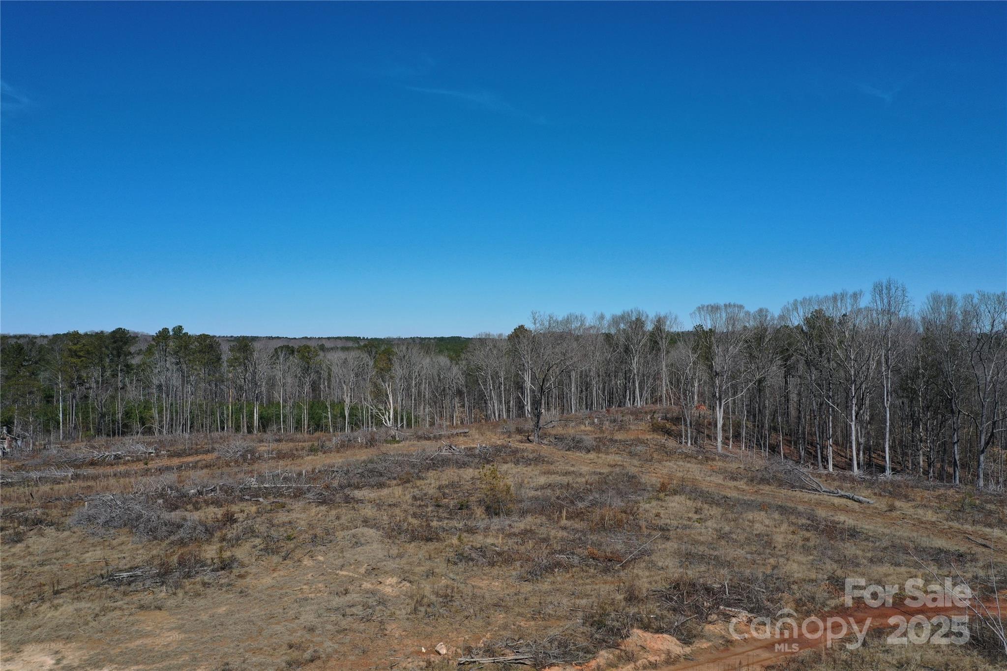 0 Rambo Road Blackstock, SC 29014 - Photo 13 of 21 Gallery Image 13