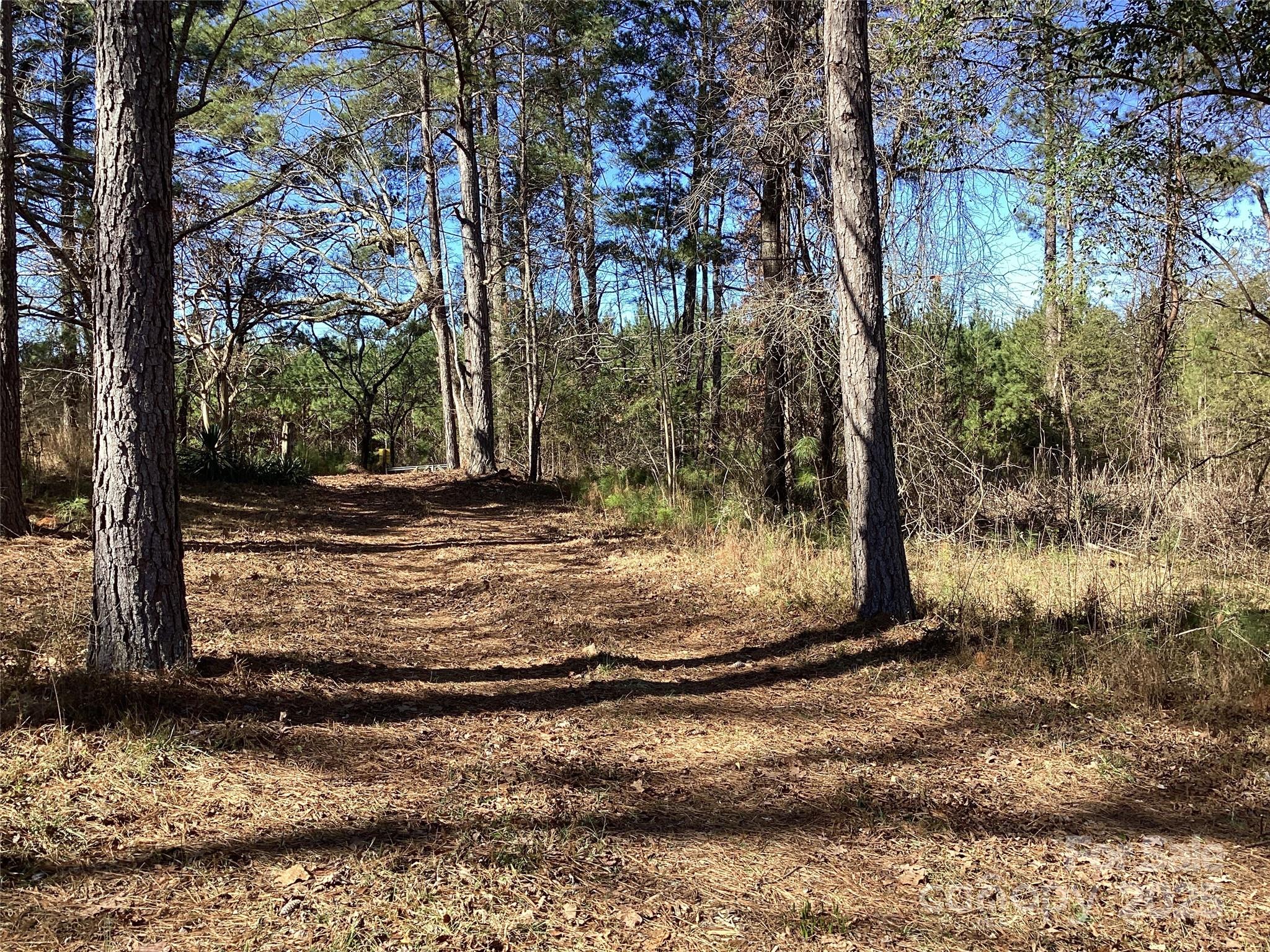 0 Rambo Road Blackstock, SC 29014 - Photo 14 of 21 Gallery Image 14