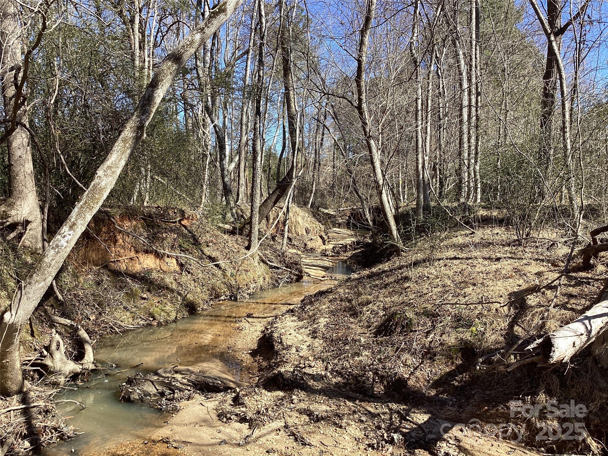 0 Rambo Road Blackstock, SC 29014 - Photo 19 of 21 Gallery Image 19