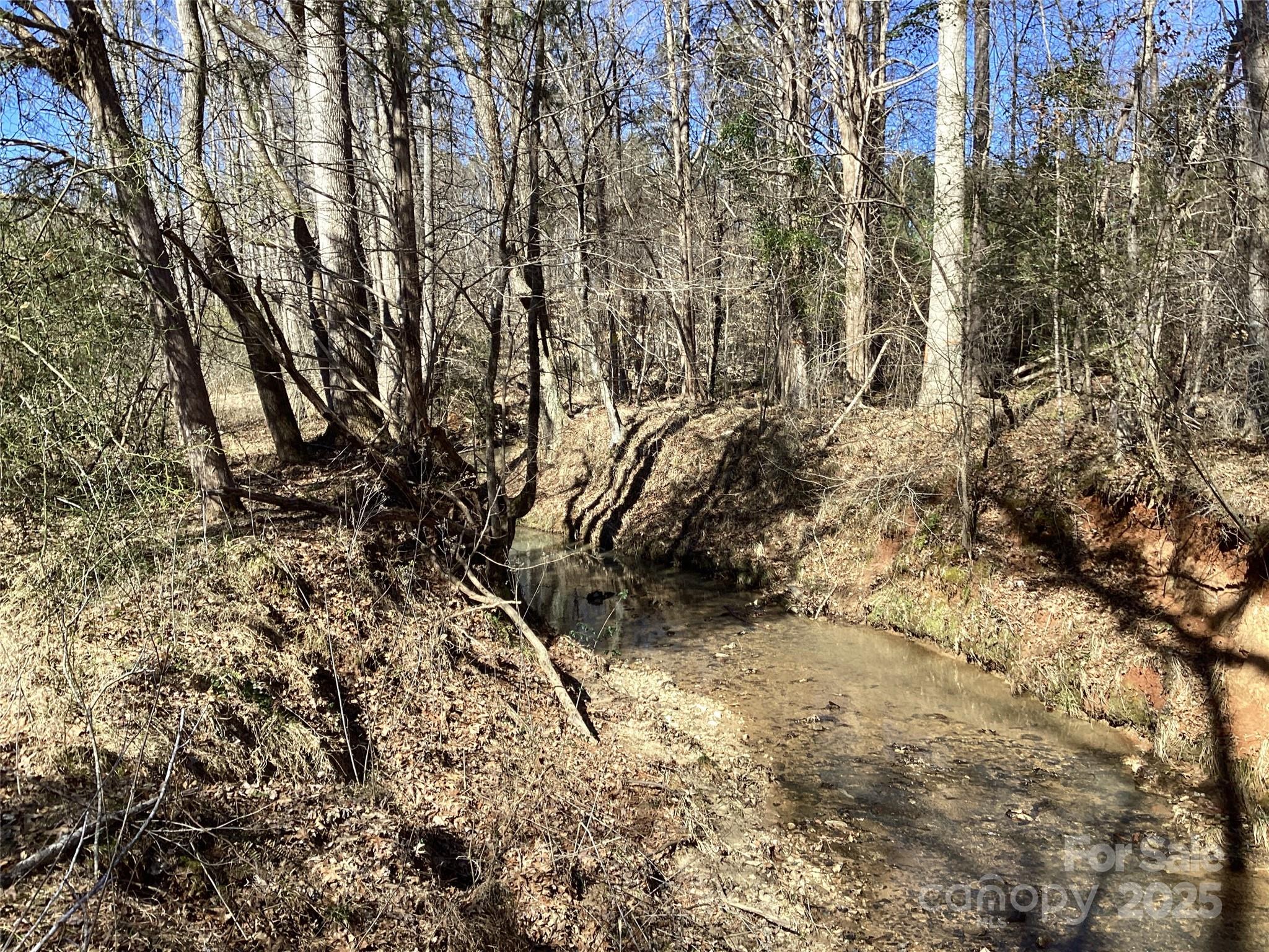 0 Rambo Road Blackstock, SC 29014 - Photo 8 of 21 Gallery Image 8