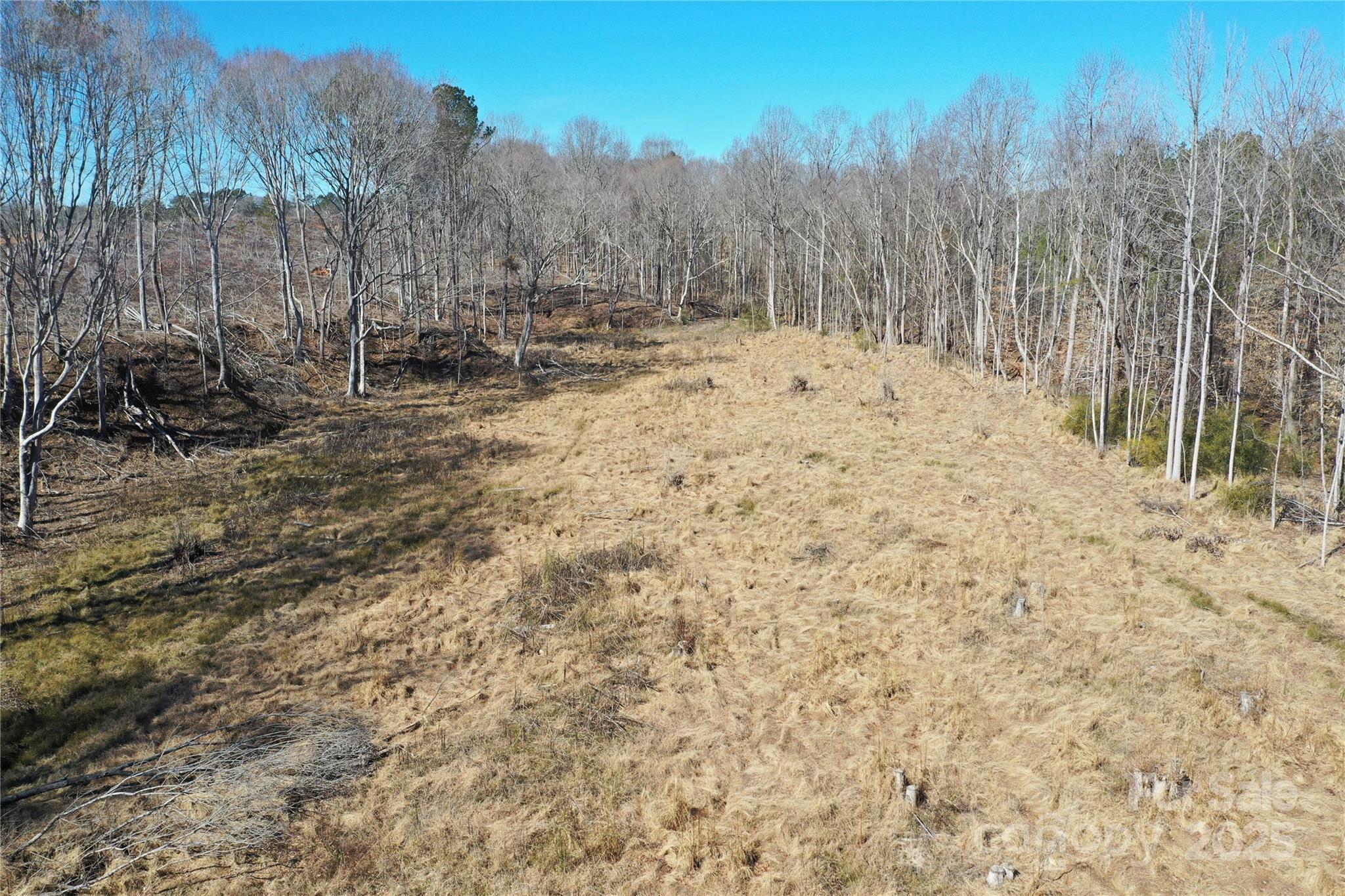 0 Rambo Road Blackstock, SC 29014 - Photo 10 of 21 Gallery Image 10